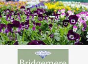 Bridgemere Garden Centre