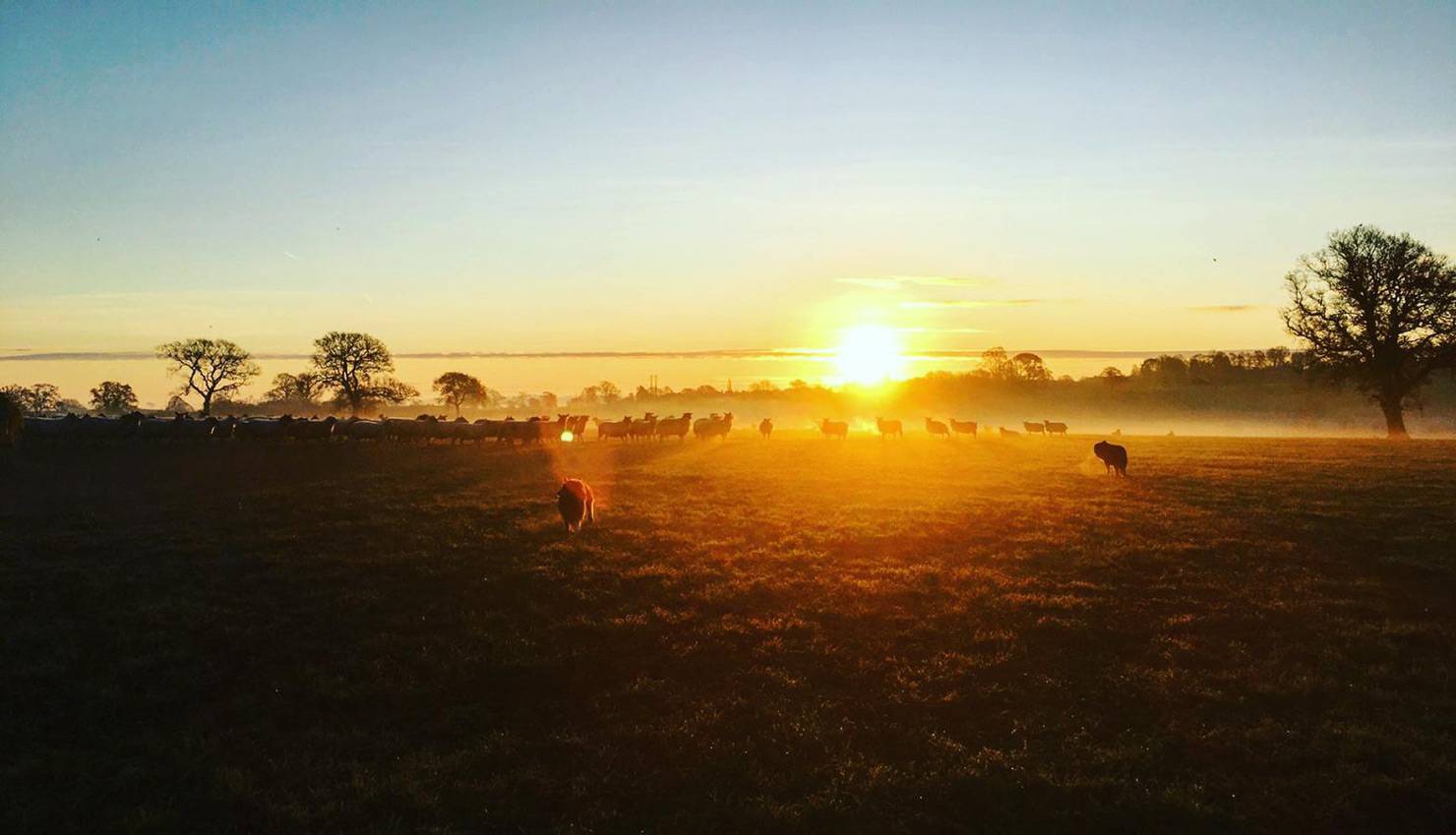 Welcome to Millmoor Farm Holidays Sunrise over Millmoor Farm